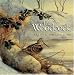 The Woodcock: Artists' Impressions