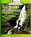 Search : The Wonder of a Waterfall (Rookie Read-About Science)