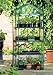 Gardman 4 tier mini greenhouse propagator