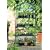 Gardman 4 tier mini greenhouse propagator