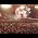 Video von AC/DC