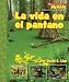 La vida en el pantano / A Home in the Swamp (Scholastic News Nonfiction Readers En Espanol) (Spanish Edition)