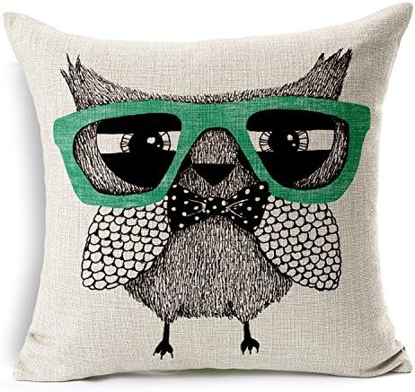 ALLOWL(TM) Custom Cotton &amp; Polyester Soft Square Zippered Cushion Abstract Green Glass Owl Throw Case Pillow Case Cover 18 "X18 "