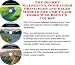 Book The Secret Marketing, Godfather Principles and Sales Models for USB Flash Disks Web Biz 3 CD Course