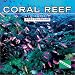 Coral Reef 2002 Wall Calendar (Book)