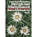 Die Farn- und Bl�tenpflanzen Baden-W�rttembergs, 8 Bde., Bd.6, Spezieller Teil (Spermatophyta, Unterklasse Asteridae)
