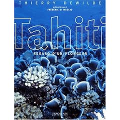 TAHITI. Regard d'un plongeur