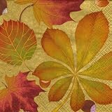Caspari Set of 2 Golden Chestnut Paper Cocktail Napkin Package, Gold