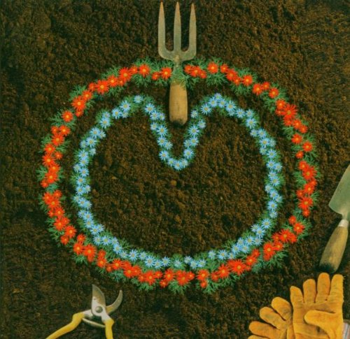 Xtc - In Another Life (jug band version) Lyrics - Zortam Music