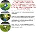 Book The Secret Super Marketing, Success Principles and Inner Game for Billiard Cue Sticks Businesses 3 CD Combo Pack