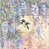 Dimensions Counted Cross Stitch, Hummingbird and Wisteria