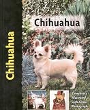 Chihuahua (Pet love)