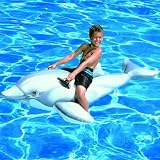 Dolphin Ride on