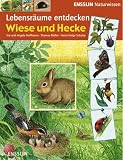 Ensslin Naturwissen - Lebensr&auml;ume entdecken: Wiese und Hecke - Ina Hoffmann, Angela Hoffmann