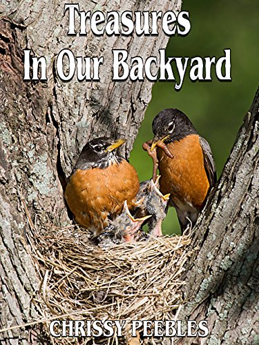 Treasures in our Backyard (A children's book about Robins), by Chrissy Peebles