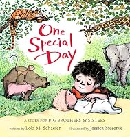 One Special Day (A Story for Big Brothers and Sisters)