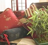 Sticky Rice Patch Pillow by Glenna Jean