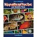 Korallenfische und Niedere Tiere