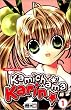 Kamichama Karin 01
