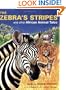 Zebra's Stripes