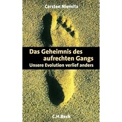 Das Geheimnis des aufrechten Gangs: Unsere Evolution verlief anders