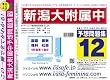 新潟大学附属中学校 予想問題集12