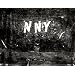 Naked New York