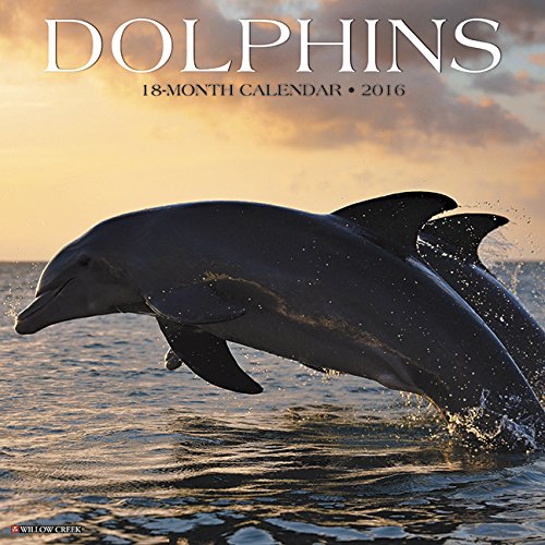2016 dolphins wall calendar