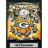 Super Bowl XLV Champs Green Bay Packers Plaque Case Pack 14
