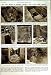 1950 ANCIENT ASSYRIA NIMRUD LAYARD ARCHAEOLOGY POMPEII