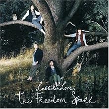 The Freedom Spark
