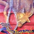 The History of the Damnable Life and Deserved Death of Vision Through Sound