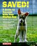 Saved: A Guide to Success With Your Shelter Dog