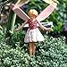 Wild Thyme Fairy
