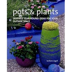 Pots and Plants: Inspired Year-round Ideas for Your Outside Space