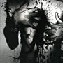 Solely Concentrating On The Negative Aspects Of Life [Explicit]