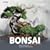 Landschaften gestalten mit Bonsai. Anleitung zu 17 Bonsai-Miniaturen