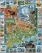 White Mountain Puzzles Best of Maine - 1000 Piece Jigsaw Puzzle