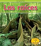 Cover for 9781432941888