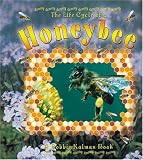 The Life Cycle of a Honeybee (Life Cycle)