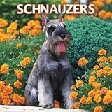 Schnauzers 2007 Calendar