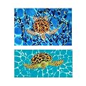 Sea Turtles 2-pc. Canvas Wall Art Set
