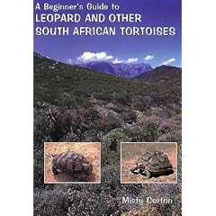 A Beginner's Guide to Leopard and Other South African Tortoises