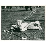 Polo Ploayer Relaxing On Ground