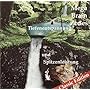 Mega Brain Zones, Audio-CDs, Vol.1, Tiefenentspannung und Spitzenleistung, 1 Audio-CD: BD 1