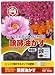 日清 醗酵油粕ペチュニア柄 中粒 500g: ●リン分高く花物にも対応できる油粕<br> ●豊富な有機原料を混ぜた油粕<br> ●花木・花苗・果樹・樹木等全てに使える<br> ●見た目は固形油粕状