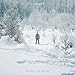 Winter & The Wolves