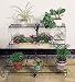 Kitchen & Housewares : RECTANGLE 3 TIER PLANT STAND (136S)-AN ATTRACTIVE FEATURE TO ANY ROOM.