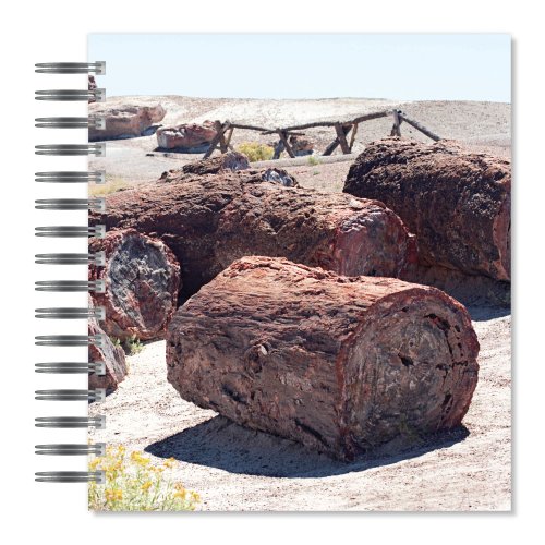 ECOeverywhere Petrified Forest National Park Picture Photo Album, 18 Pages, Holds 72 Photos, 7.75 x 8.75 Inches, Multicolored (PA14296) On Sale