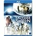 Odyssee durch Sibirien [Blu-ray]